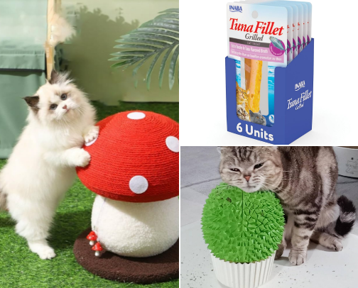 Cats are better!!! cover photo collage