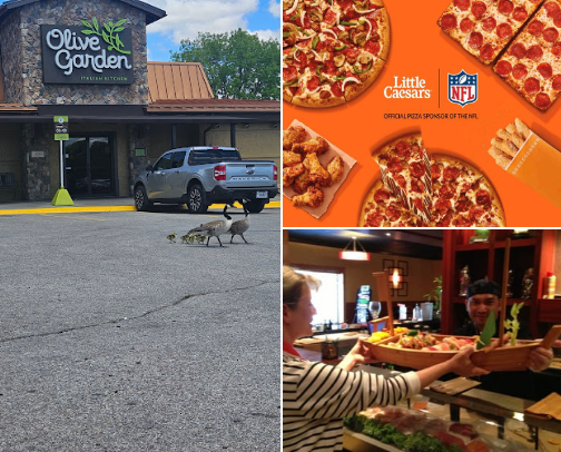 Must try Restaurants cover photo collage
