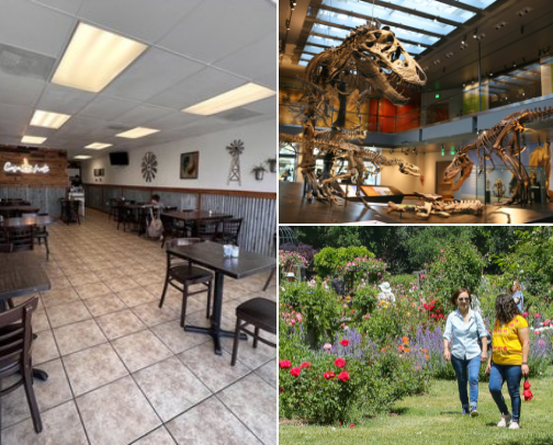 My top Los Angeles recs cover photo collage