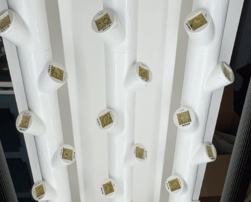 Beauty cover photo collage