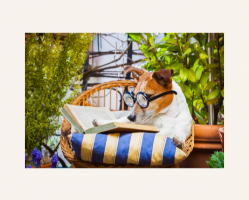 GOOD BOOKS ABOUT GOOD DOGS 🐕 cover photo collage