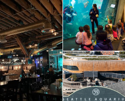 2025 Seattle Trip Highlights and Experiences cover photo collage