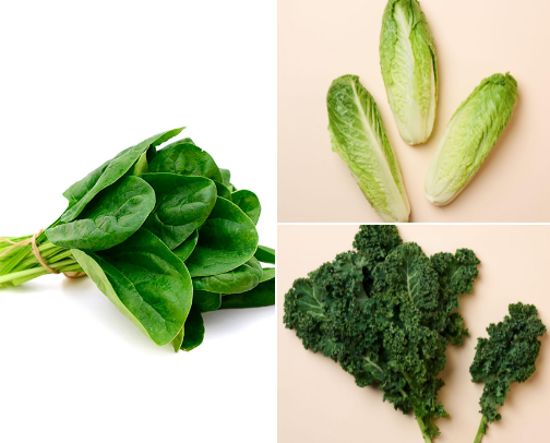 Weight Loss Essentials: Fruits & Veggies for Calorie Deficit cover photo collage