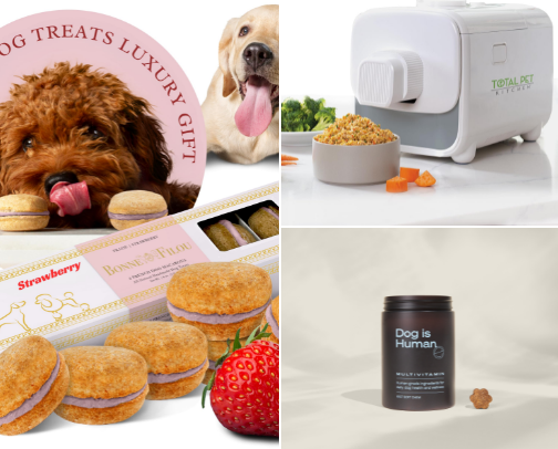 Fur Babies cover photo collage