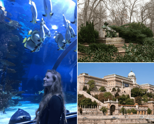 One day in Budapest🥰 cover photo collage