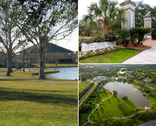 Things to do for free or low cost in New Orleans! cover photo collage