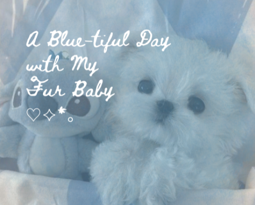 Soft Blues for Soft Paws | Pets cover photo collage