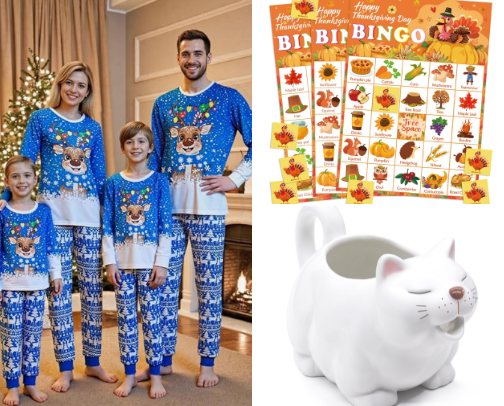 ODDS AND ENDS: Cute Thanksgiving, Christmas & Gag Gift Finds cover photo collage