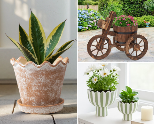 Planters Trends | Spring 2026 cover photo collage