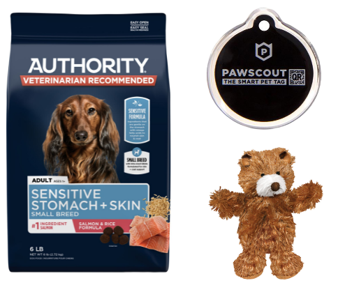 Chihuahua Must Haves! cover photo collage