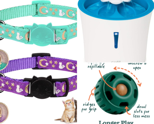 Furry Friends cover photo collage
