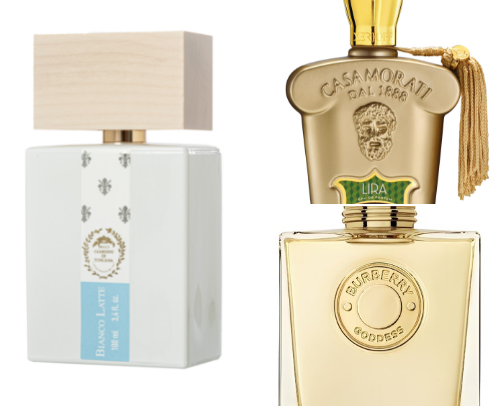 Perfume recommendations cover photo collage