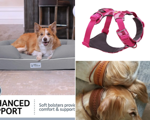 Canela´s favourites 🐶🐾 cover photo collage
