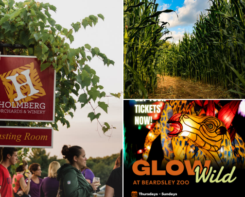 Things to do in Connecticut this Fall 🍁🍂 cover photo collage