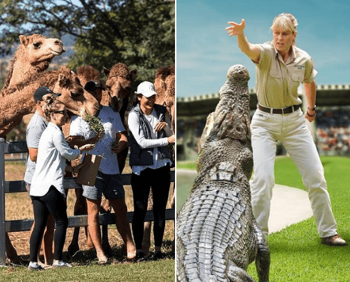 Brisbane Day Trips cover photo collage