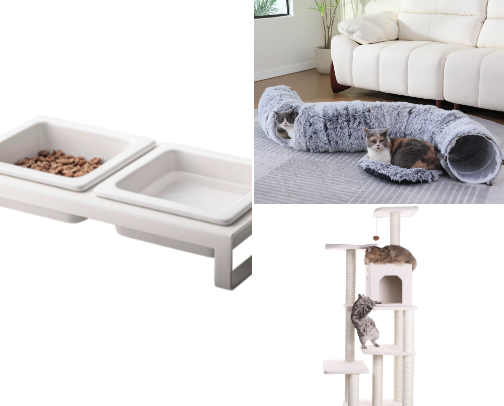 Everything your cat needs 🐈‍⬛ cover photo collage