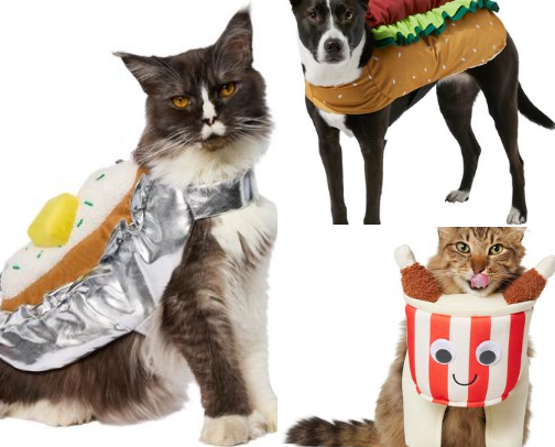 Affordable Dog Halloween Costumes 👻🎃 cover photo collage