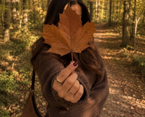 🍂FALL : Look Expensive, Feel Cozy cover photo collage