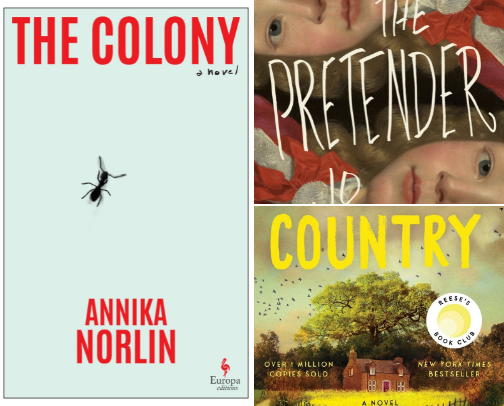 2025 Reading Wrap-Up: Fav Books 📖 ❤️ cover photo collage