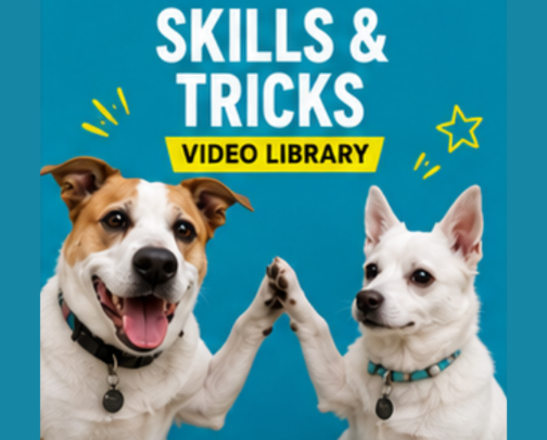 Skills & Tricks Video Library cover photo collage