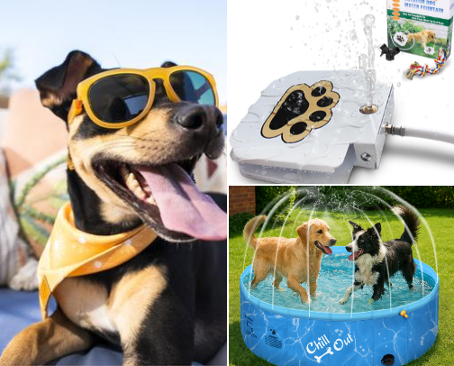 Doggy summer essentials and Toys cover photo collage