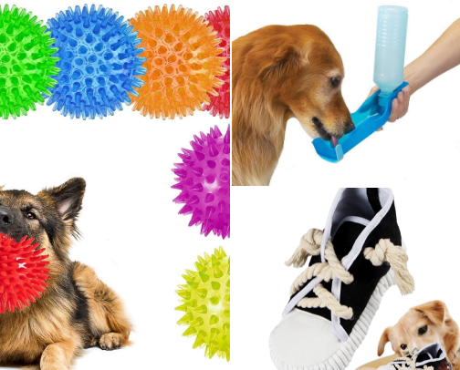 Must-Have Toys, Treats & Essentials for Your Dog 🐶 cover photo collage