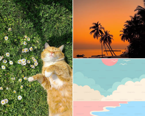 Finding wallpapers so you don’t have to😆💕 cover photo collage