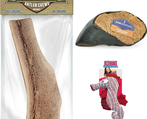 My Dog’s Favorite Products cover photo collage