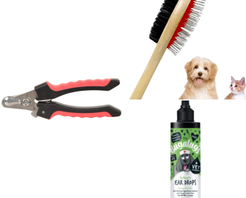 Doggy Must Haves 🐾 cover photo collage