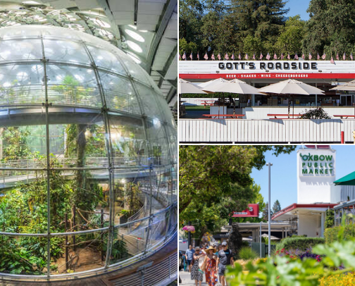 Fun places to go in the Bay Area cover photo collage
