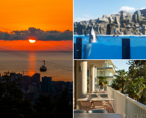 Traveling and Adventures cover photo collage