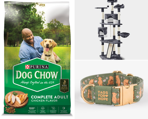 Pets cover photo collage