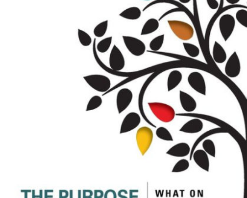 My favorite book recs cover photo collage