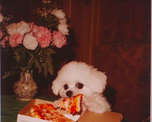 Cutesy Trinkets cover photo collage