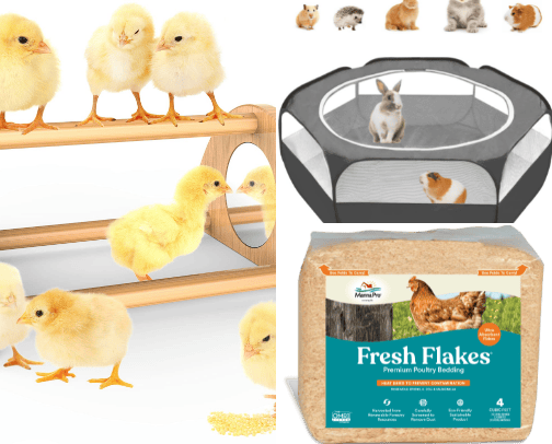 Chickens 101 cover photo collage