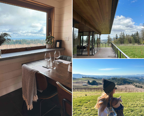 Must See Willamette Valley Wineries— only the best wines, views + vibes ✨ cover photo collage
