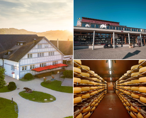 Cheese Experiences in Switzerland cover photo collage