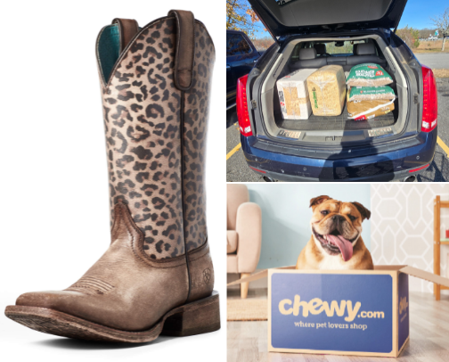 My real-life 🔧tool kit. “The Essentials (Apparently)” cover photo collage