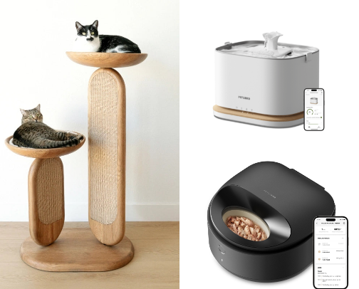 Best Cat Care Items for City Living cover photo collage