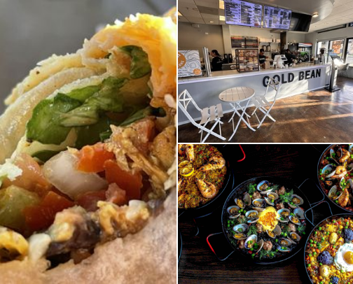 Berkeley spots I swear by cover photo collage