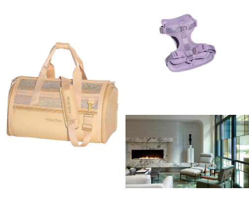 Traveling the World with Pets ✈️ cover photo collage