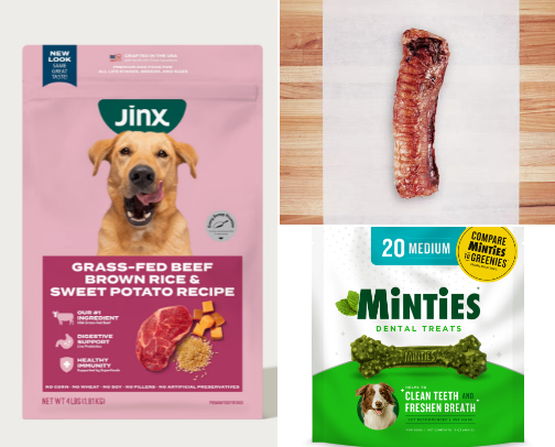Dog essentials 🐶 cover photo collage