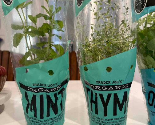 Trader Joe’s Favorites cover photo collage