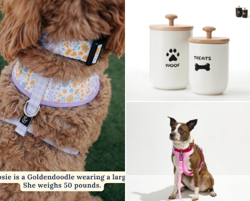 New Puppy Supplies 🐾 cover photo collage