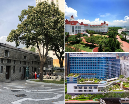 A cosy hotel stay that makes exploring the area even more enjoyable in Kowloon City, Hong Kong cover photo collage