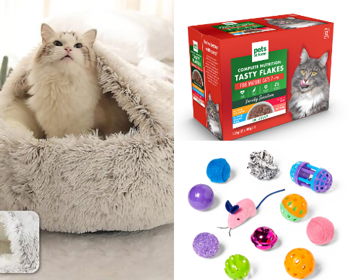 Bads for cats 🐈 cover photo collage