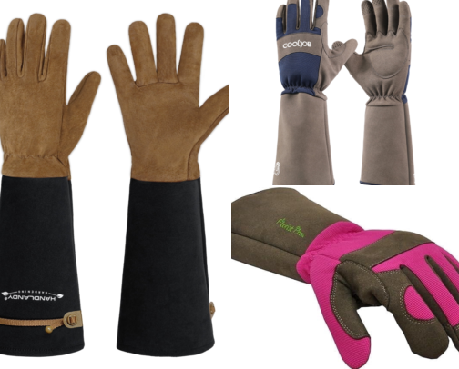 Rose Pruning Gloves That Finally Stopped My Arms From Looking Scratched Up cover photo collage