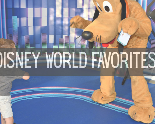 Disney World Favorites cover photo collage
