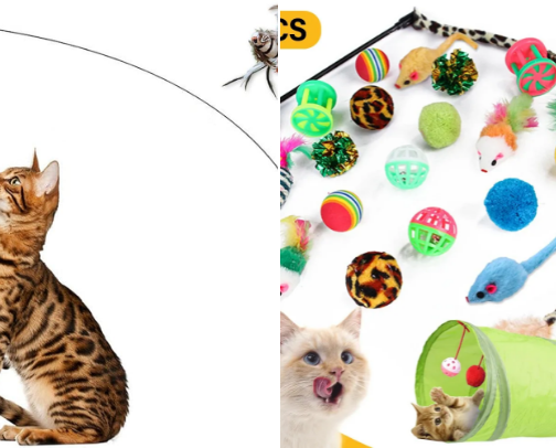 Animal🐱🐶 cover photo collage
