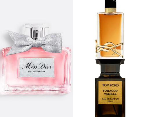 Best Perfumes in the World | Long-Lasting & Iconic Scents cover photo collage